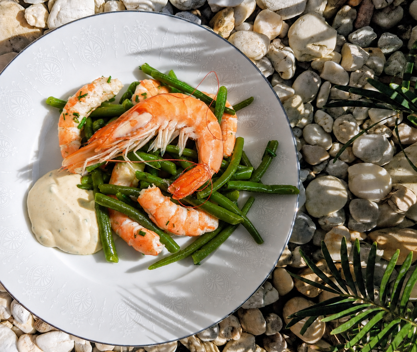 Green Bean and Shrimp Salad