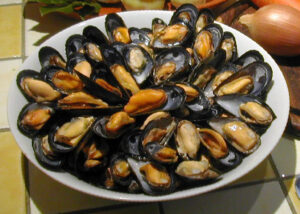 Mussels - Cleaning and Purging