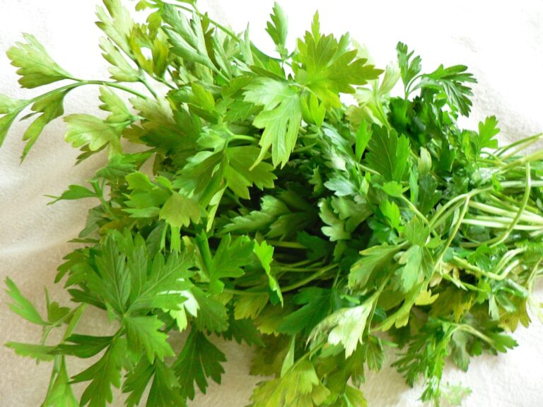 Parsley Aïoli Flexitarian Kitchen